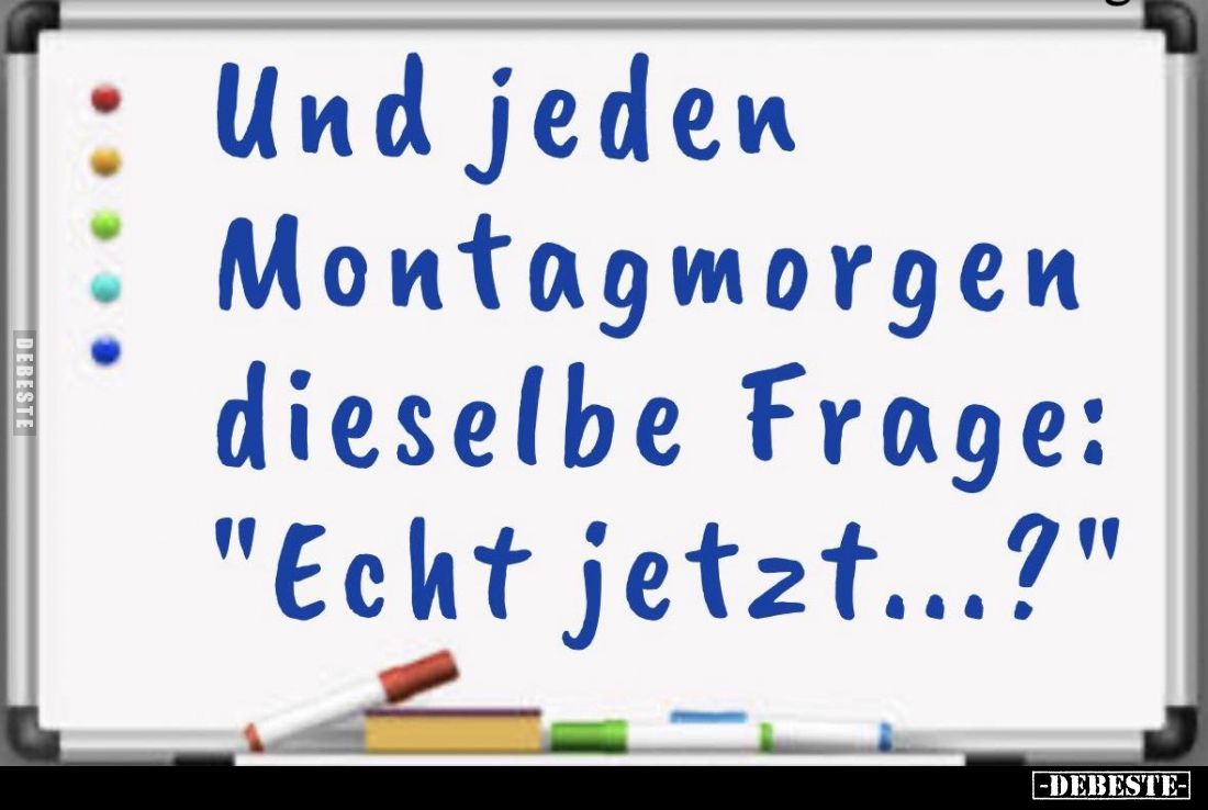 Und jeden Montagmorgen dieselbe Frage: "Echt jetzt...?"