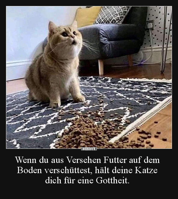 Wenn du aus Versehen Futter auf dem Boden verschüttest.. - Lustige Bilder | DEBESTE.de