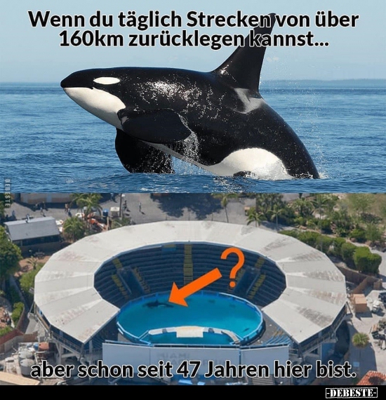 Wenn du täglich Strecken von über 160km zurücklegen..