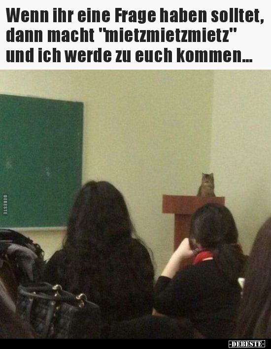 Wenn ihr eine Frage haben solltet, dann macht..