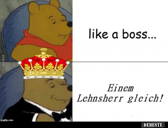 Like a Boss... / Einem Lehnsherr gleich! - Lustige Bilder | DEBESTE.de