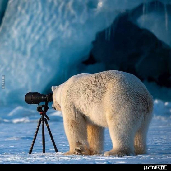  - Lustige Bilder | DEBESTE.de