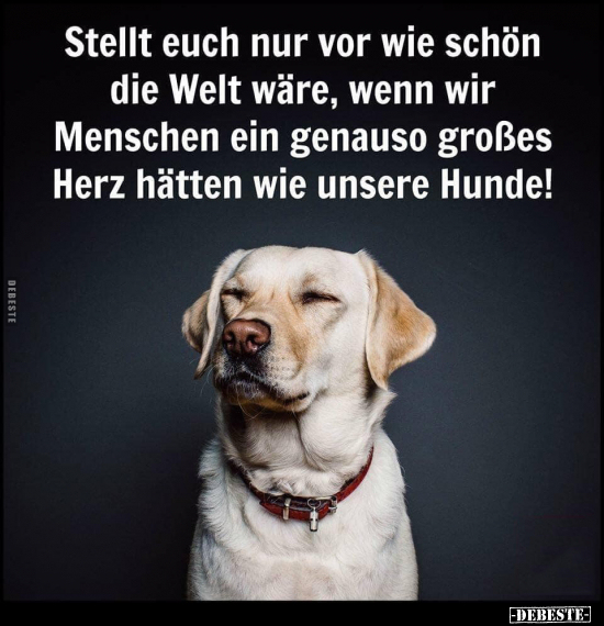 Stellt euch nur vor wie schön die Welt wäre, wenn wir..