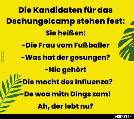 Die Kandidaten für das Dschungelcamp stehen fest:.. - Lustige Bilder | DEBESTE.de