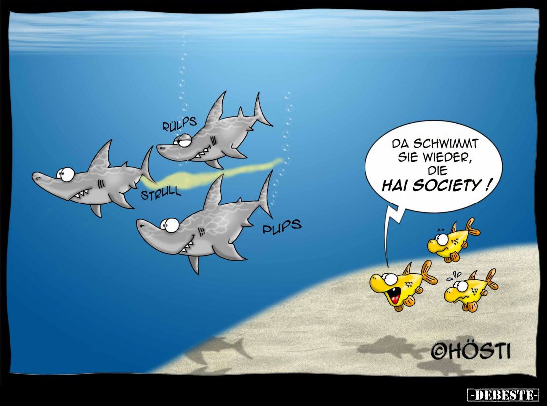 Da schwimmt sie wieder, die Hai Society!!