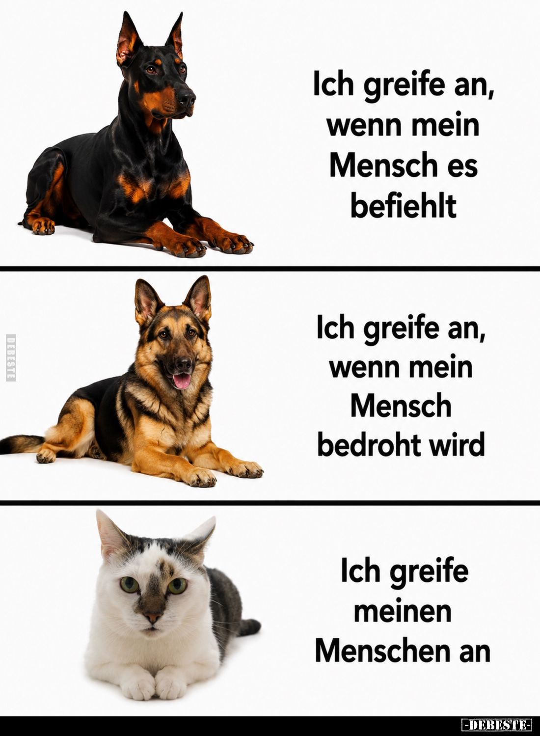 Ich greife an, wenn mein Mensch es befiehlt
-
Ich greife an, wenn mein Mensch bedroht wird
-
Ich greife meinen Menschen a...