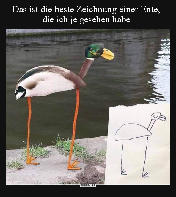 Das ist die beste Zeichnung einer Ente, die ich je gesehen.. - Lustige Bilder | DEBESTE.de