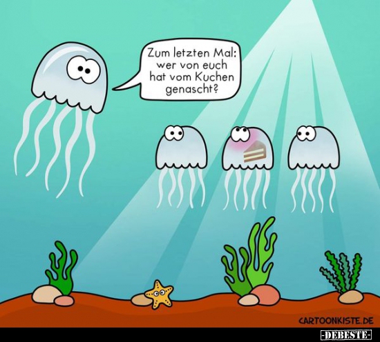 Zum letzten Mal: Wer von euch hat vom Kuchen genascht?..