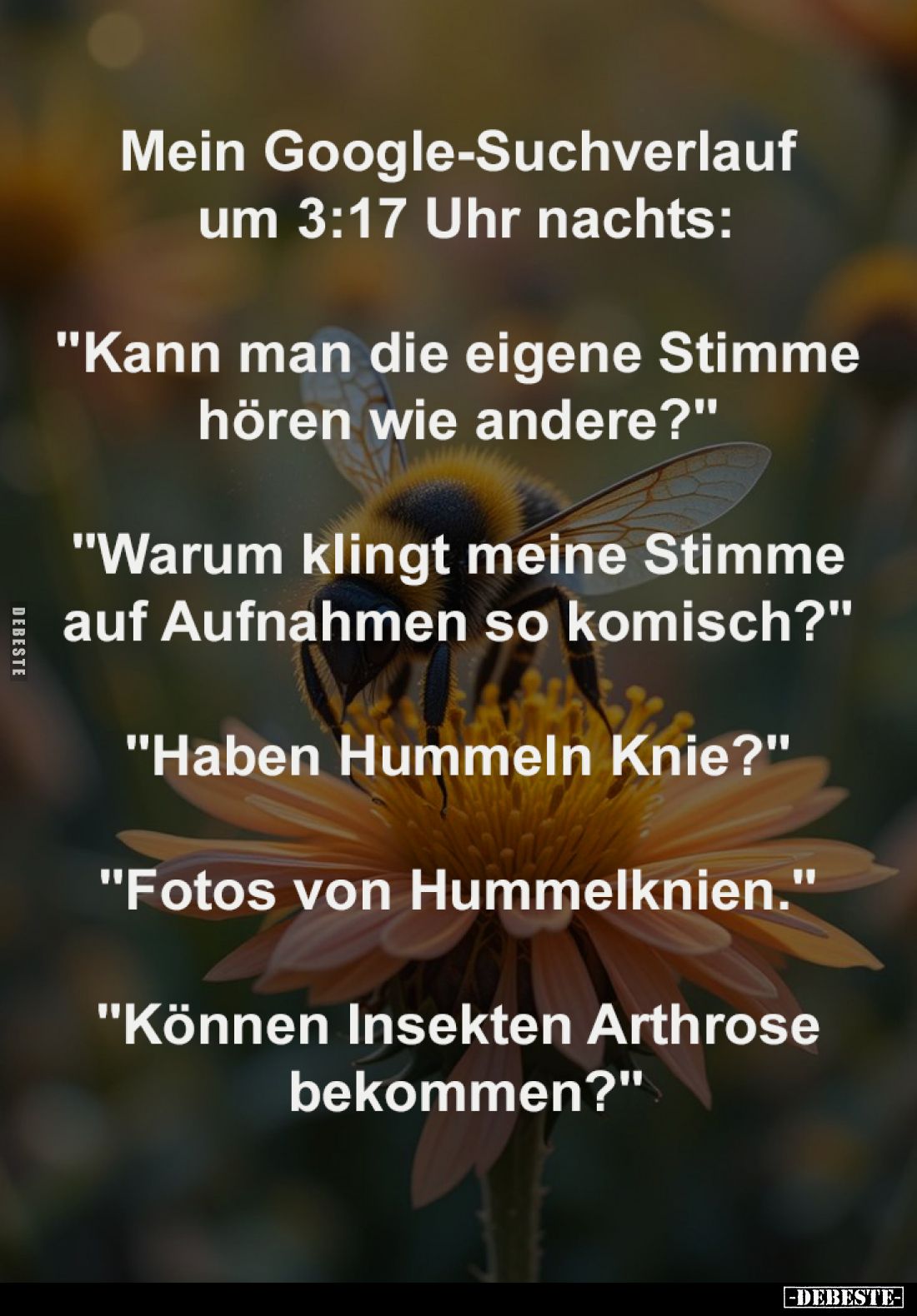 Mein Google-Suchverlauf
um 3:17 Uhr nachts:
"Kann man die eigene Stimme
hören wie andere?" -
"Warum ...