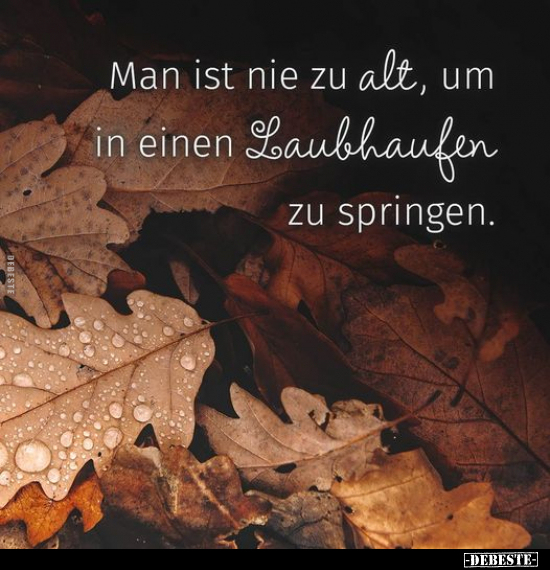 Man ist nie zu alt, um in einen Laubhaufen zu springen... - Lustige Bilder | DEBESTE.de