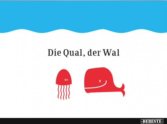Die Qual der Wahl.. - Lustige Bilder | DEBESTE.de