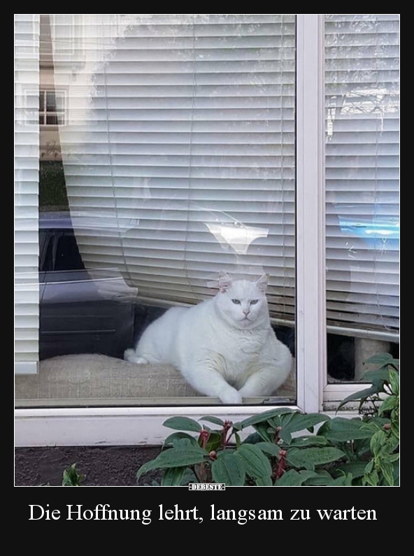 Die Hoffnung lehrt, langsam zu warten..