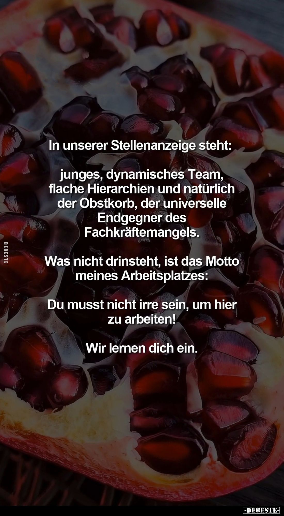 In unserer Stellenanzeige steht:
junges, dynamisches Team, flache Hierarchien und natürlich der Obstkorb, der universelle En...