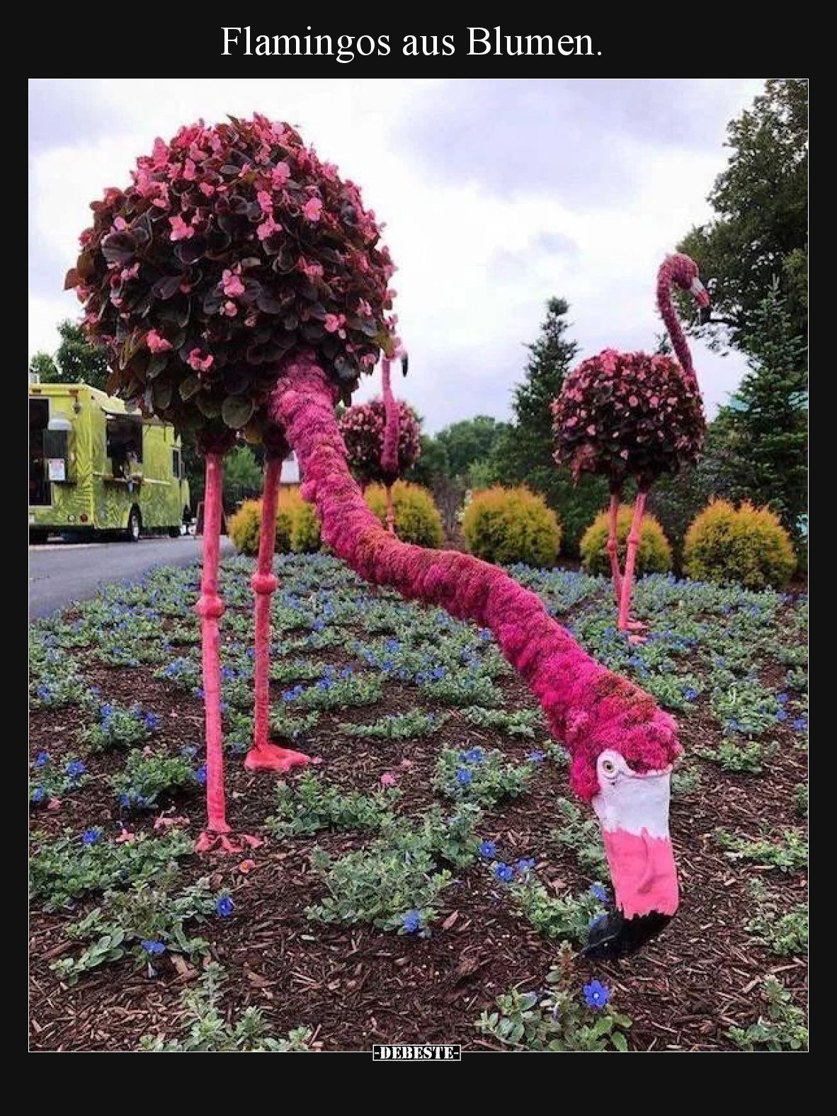 Flamingos aus Blumen