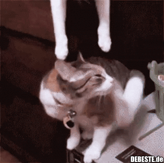 Die Kusszene aus Spider-Man nachspielen..