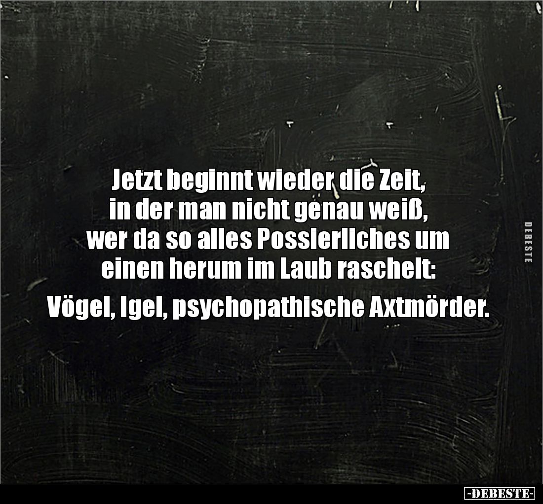 Jetzt beginnt wieder die Zeit, 
in der man nicht genau weiß, 
wer da so alles Possierliches um 
einen herum im Laub rasche...