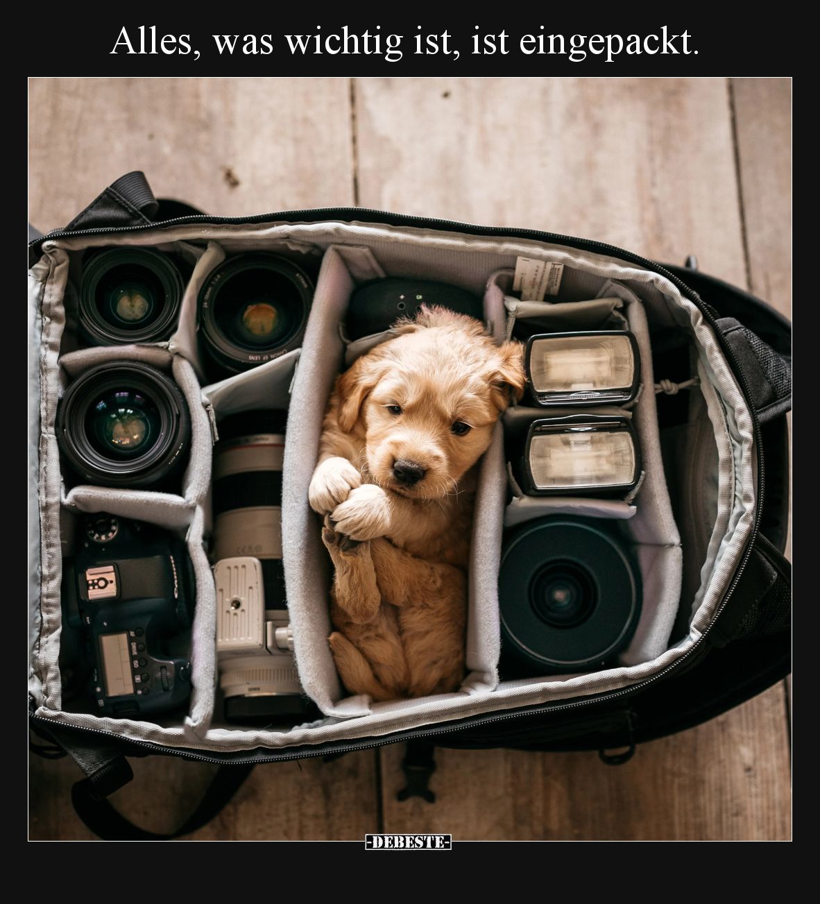 Alles, was wichtig ist, ist eingepackt.