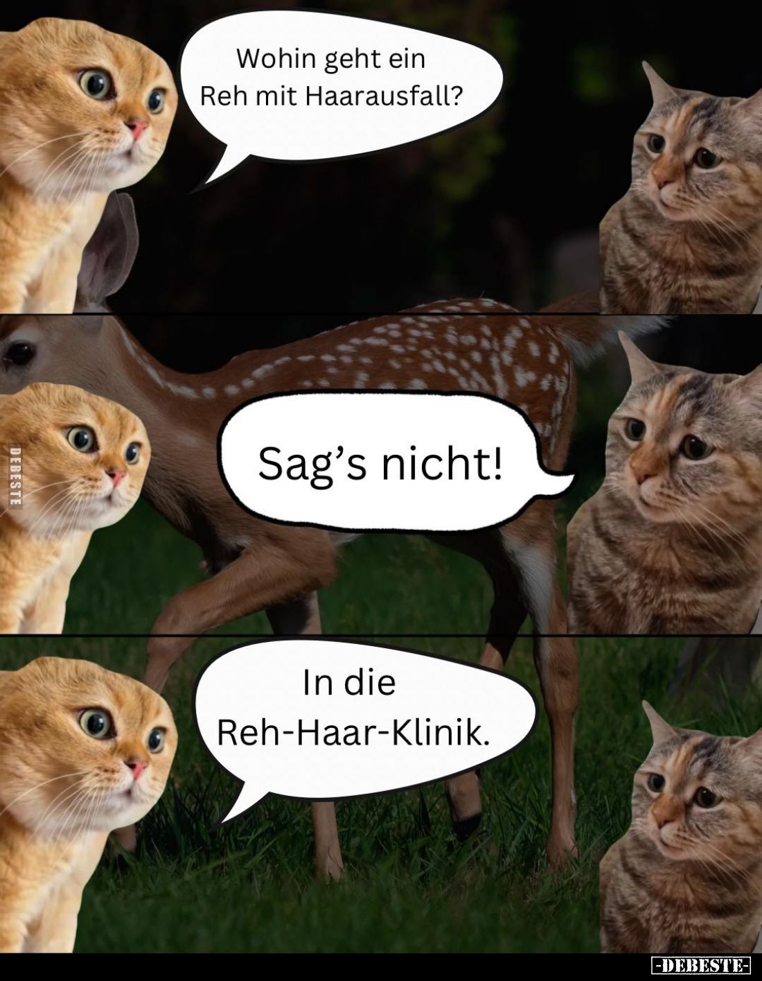 Wohin geht ein Reh mit Haarausfall? -
Sag’s nicht! -
In die Reh-Haar-Klinik.