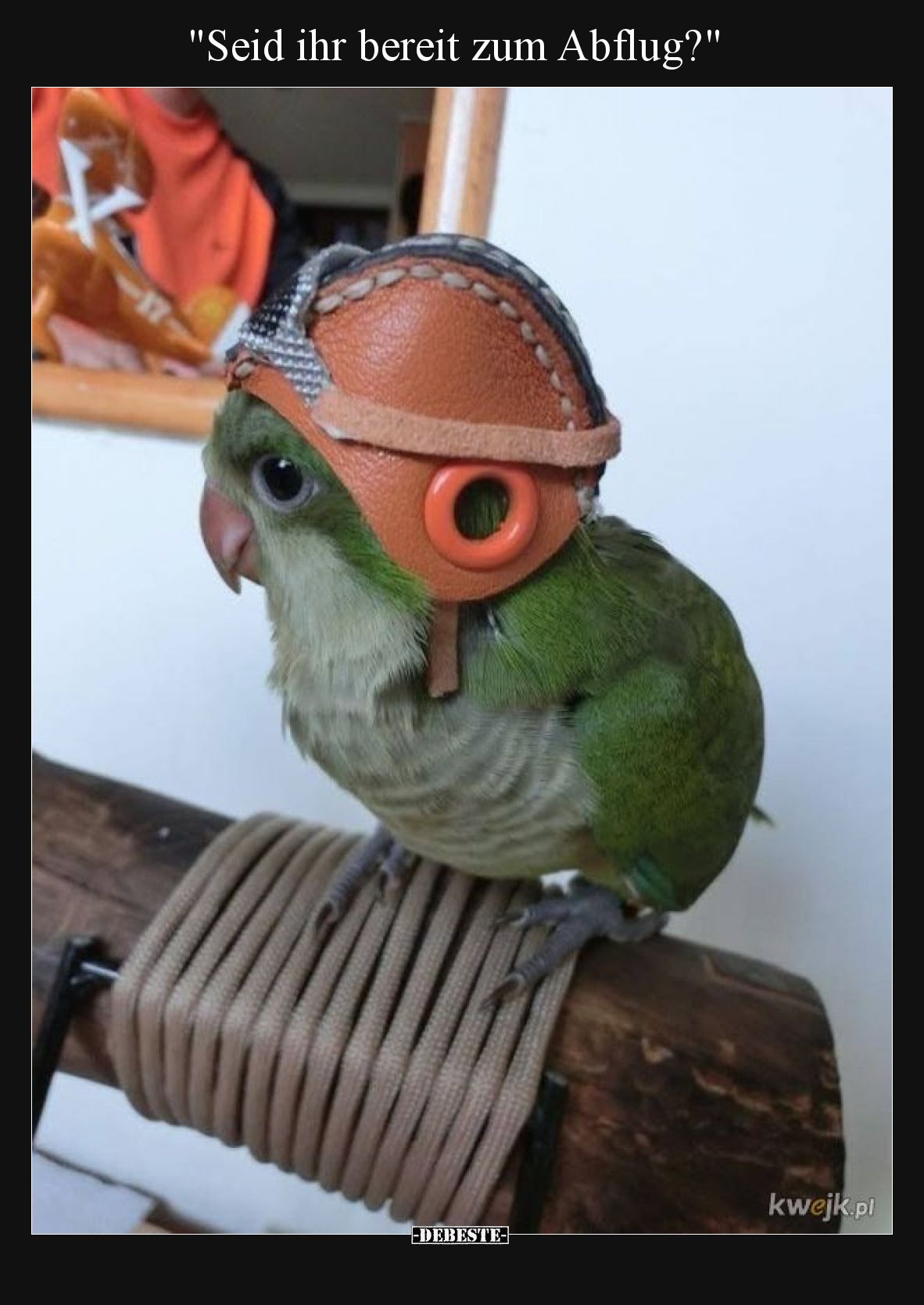 Seid ihr bereit zum Abflug?