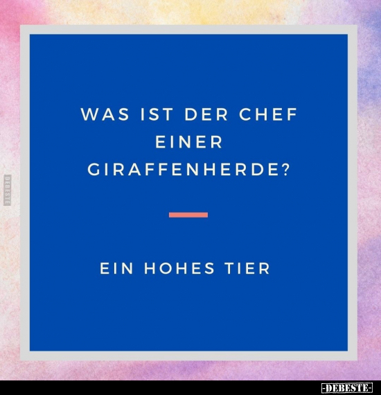 Was ist der Chef einer Giraffenherde?.. - Lustige Bilder | DEBESTE.de
