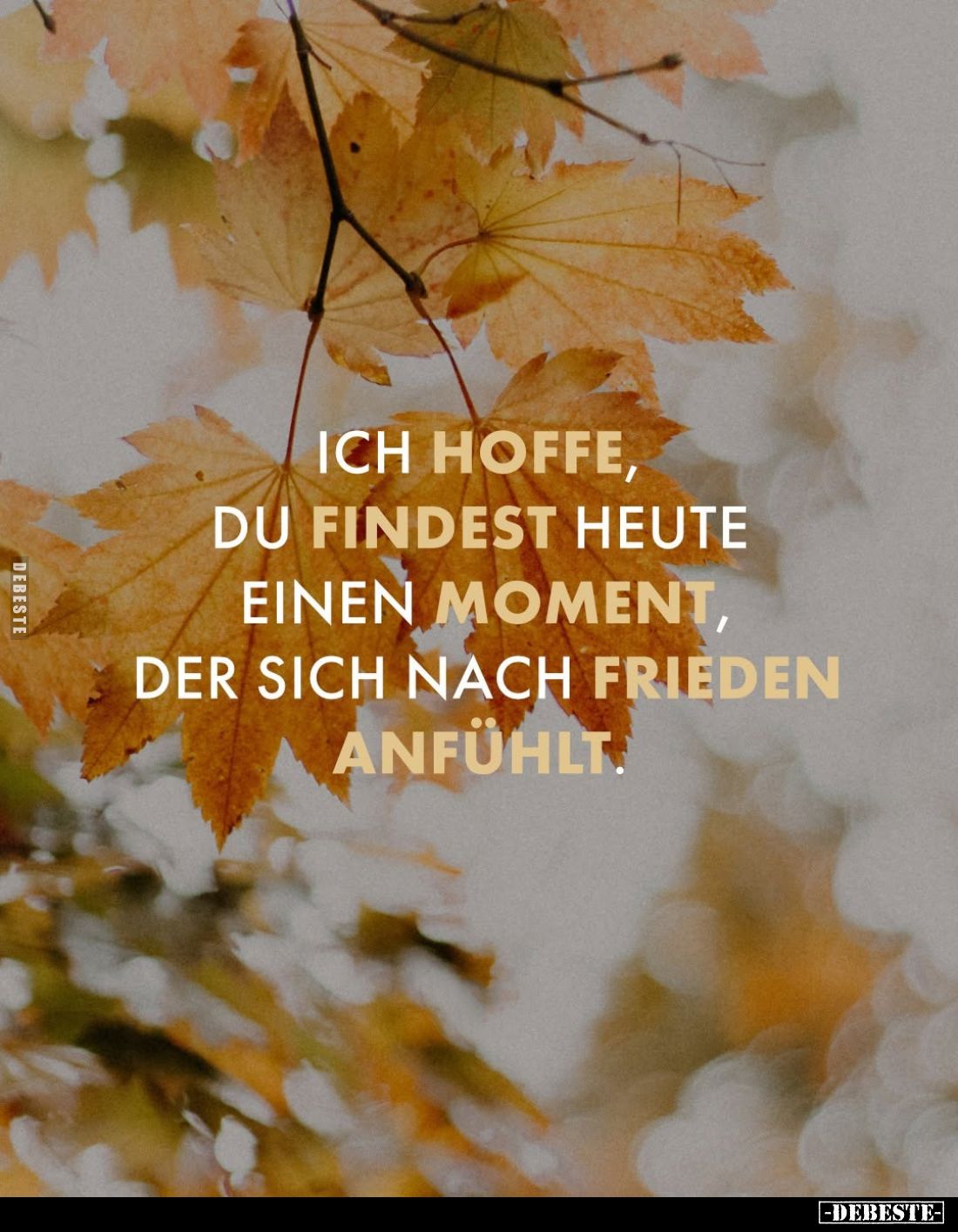 Ich hoffe, du findest heute einen Mοment, der sich nach Frieden anfühlt.