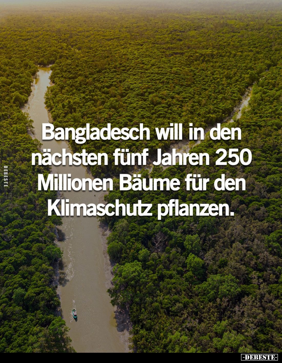 Bangladesch will in den nächsten fünf Jahren 250 Millionen Bäume für den Klimaschutz pflanzen.