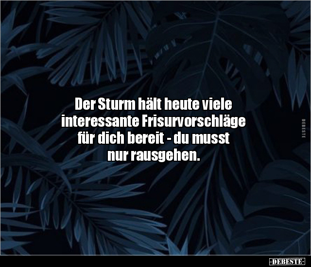 Der Sturm hält heute viele interessante Frisurvorschläge.. - Lustige Bilder | DEBESTE.de