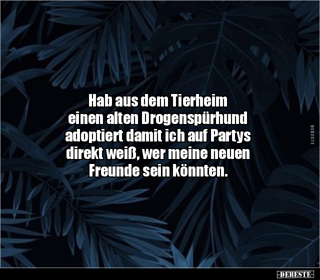Hab aus dem Tierheim einen alten Drogenspürhund adoptiert.. - Lustige Bilder | DEBESTE.de