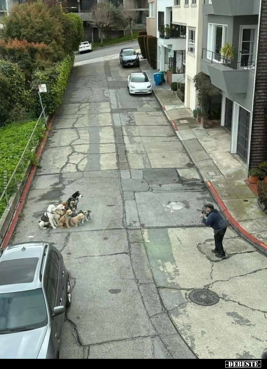  - Lustige Bilder | DEBESTE.de