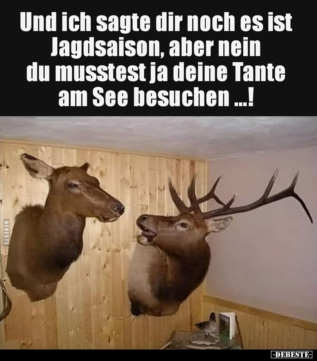 Und ich sagte dir noch es ist Jagdsaison, aber nein
du musstest ja deine Tante am See besuchen ...!