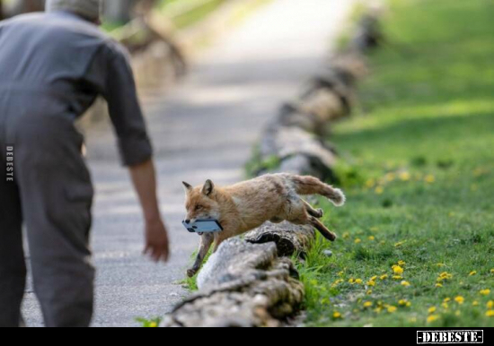  - Lustige Bilder | DEBESTE.de