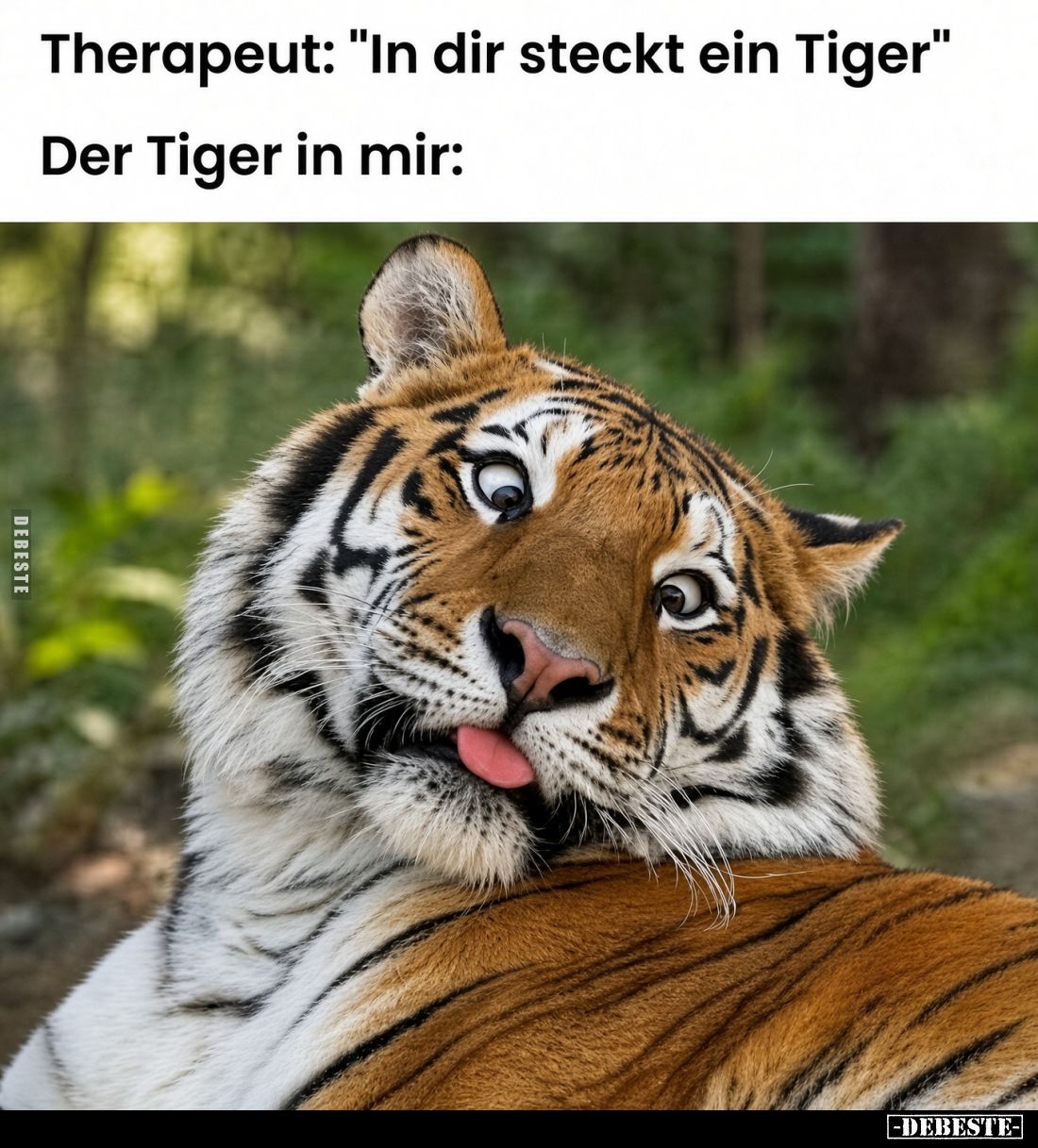 Therapeut: "In dir steckt ein Tiger."
