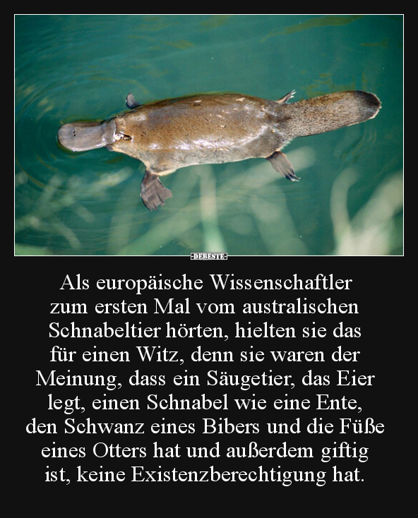 Als europäische Wissenschaftler zum ersten Mal vom..