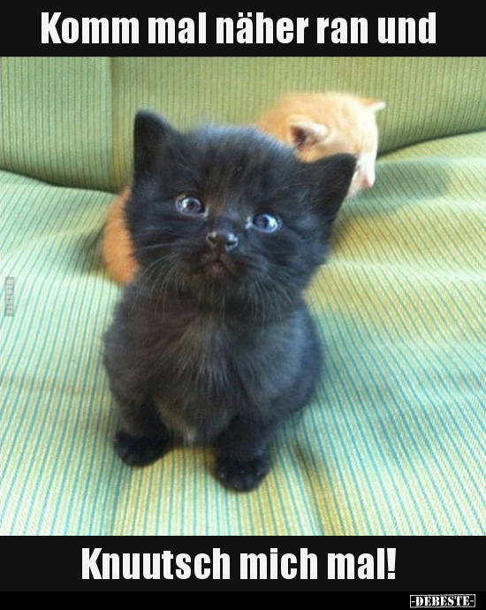 Komm mal näher ran und Knuutsch mich mal!..