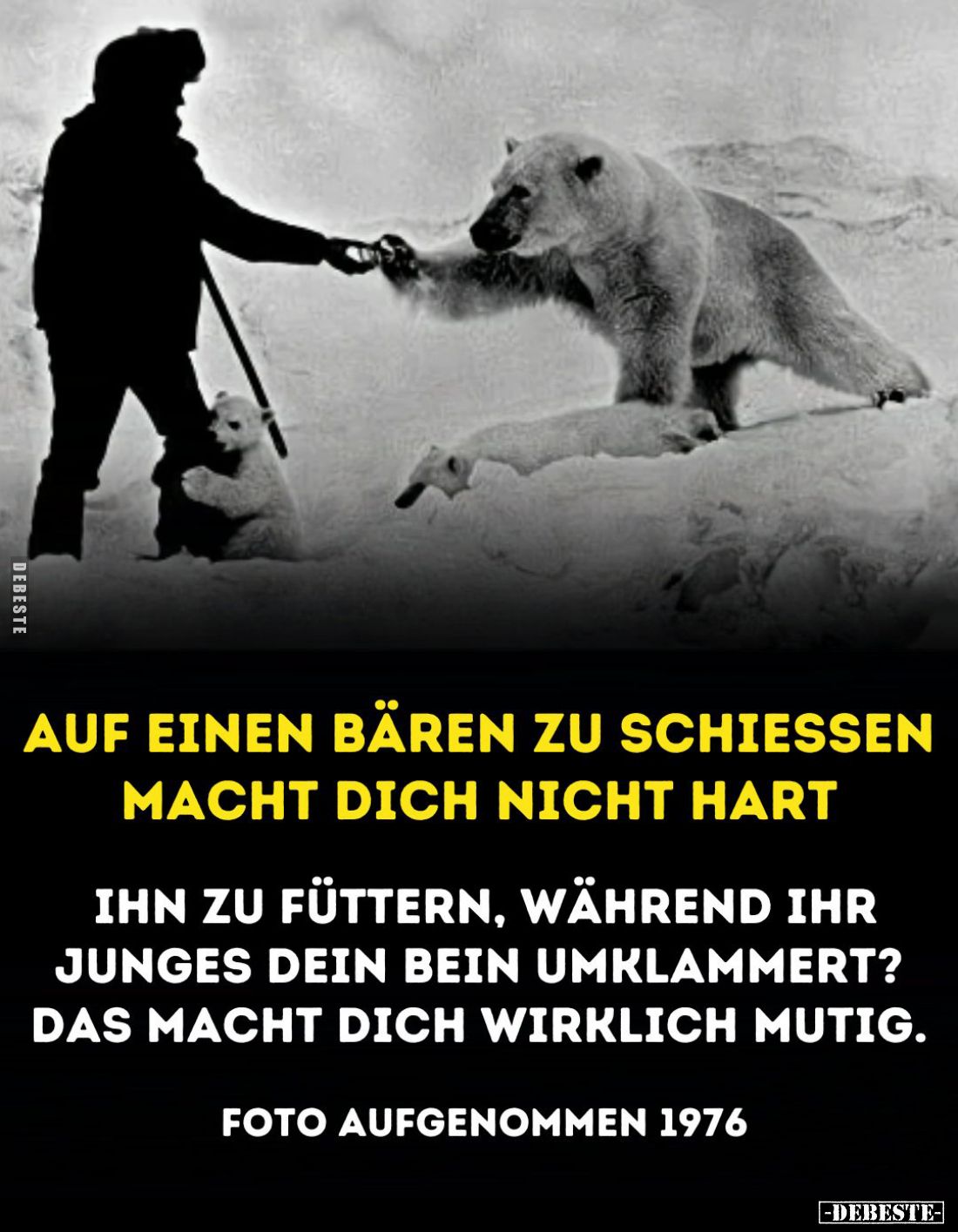 Auf einen Bären zu schießen macht dich nicht hart
ihn zu füttern, während ihr Junges dein Bein umklammert? Das macht dich wi...