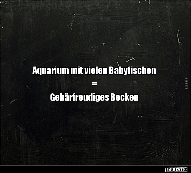 Aquarium mit vielen Babyfischen.. - Lustige Bilder | DEBESTE.de