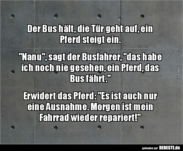 Der Bus hält, die Tür geht auf, ein Pferd steigt.. - Lustige Bilder | DEBESTE.de