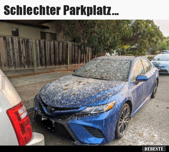 Schlechter Parkplatz... - Lustige Bilder | DEBESTE.de