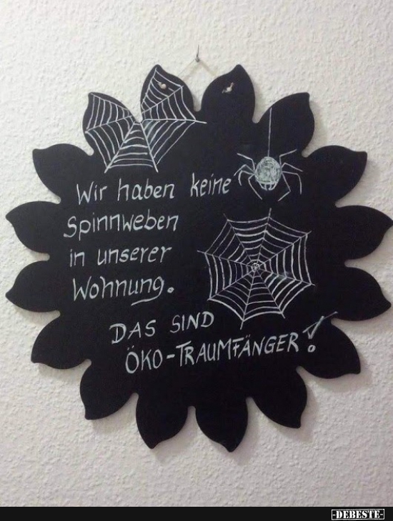 Wir haben keine Spinnweben in unserer Wohnung. - Lustige Bilder | DEBESTE.de