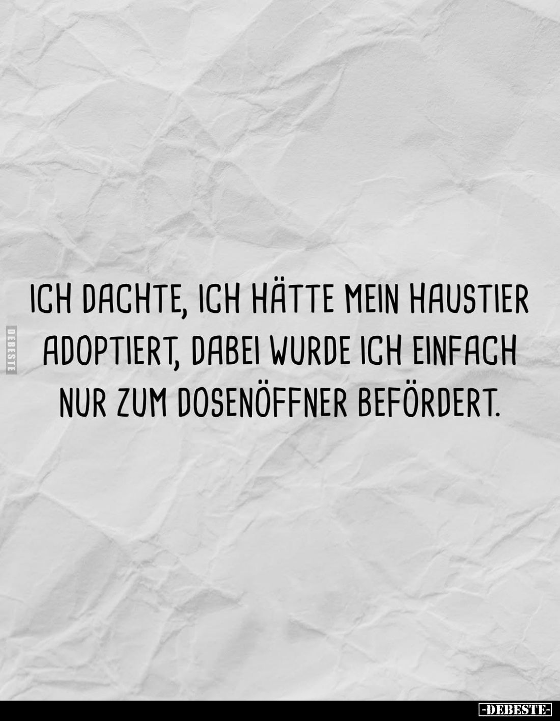 Ich dachte, ich hätte mein Haustier adoptiert, dabei wurde ich einfach nur zum Dosenöffner befördert.