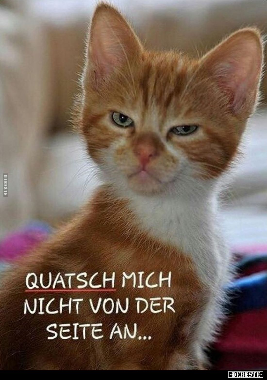 Quatsch mich nicht von der Seite an... - Lustige Bilder | DEBESTE.de