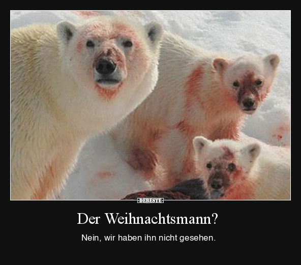 Der Weihnachtsmann? Nein, wir haben ihn nicht.. - Lustige Bilder | DEBESTE.de