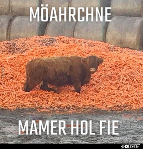 Möahrchne
Mamer Hol Fie