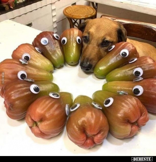  - Lustige Bilder | DEBESTE.de