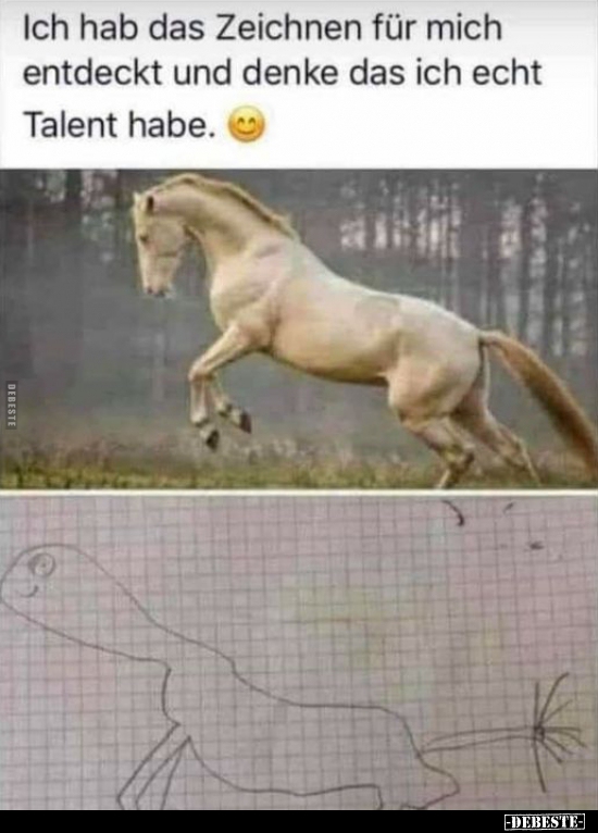 Ich hab das Zeichnen für mich entdeckt und denke das ich..