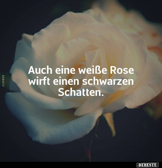 Auch eine weiße Rose wirft einen schwarzen Schatten.. - Lustige Bilder | DEBESTE.de