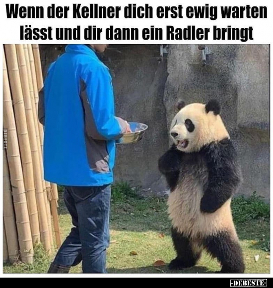 Wenn der Kellner dich erst ewig warten lässt und dir dann..