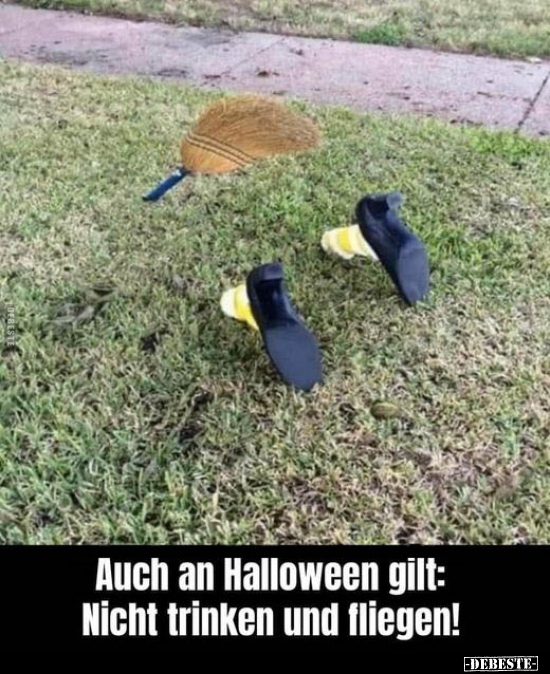 Auch an Halloween gilt: Nicht trinken und fliegen!.. - Lustige Bilder | DEBESTE.de