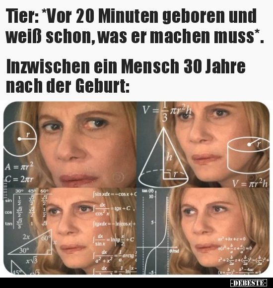 Tier: *Vor 20 Minuten geboren und weiß schon, was er machen.. - Lustige Bilder | DEBESTE.de