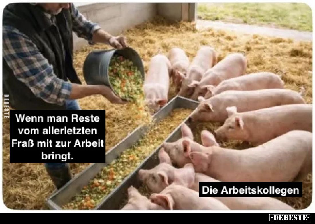 Wenn man Reste vom allerletzten Fraß mit zur Arbeit bringt.

Die Arbeitskollegen.
